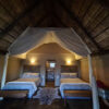 african safari beds