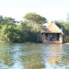 african safari lake