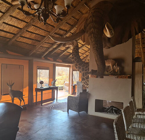 african safari lodge