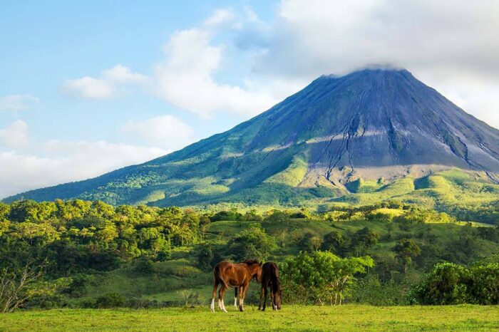 Getaway for 8 People in Costa Rica with Excursions