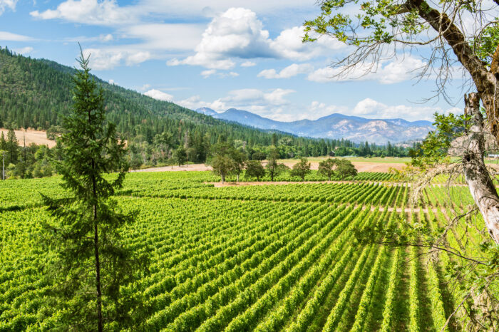 Oregon Wine Getaway